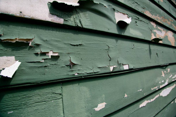 Affordable siding repair and maintenance services in Dry Ridge, OH